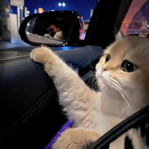 黑人和中国人的男性功能区别
